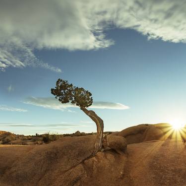 Original Minimalism Landscape Photography by Hélène Vallas Vincent