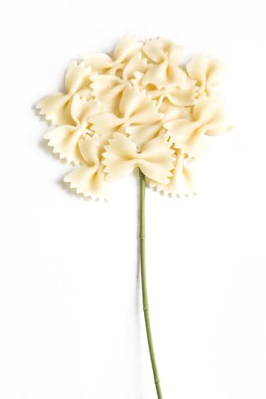 Pasta flower - Limited Edition 1 of 20 thumb
