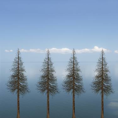 Original Landscape Photography by Hélène Vallas Vincent