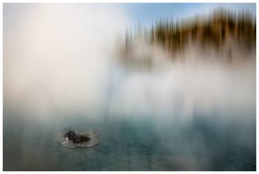 Blue in Yellowstone - Limited Edition 1 of 20 thumb