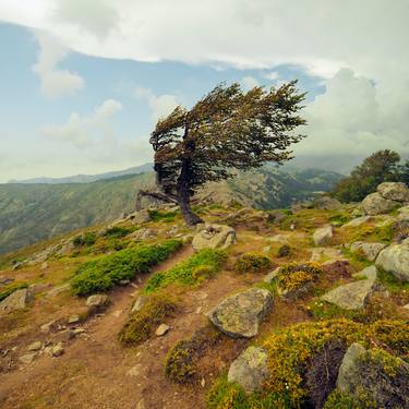 Print of Fine Art Landscape Photography by Hélène Vallas Vincent