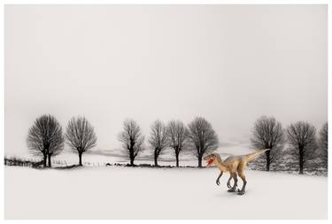 Original Landscape Photography by Hélène Vallas Vincent