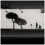 Collection Black & White Photography