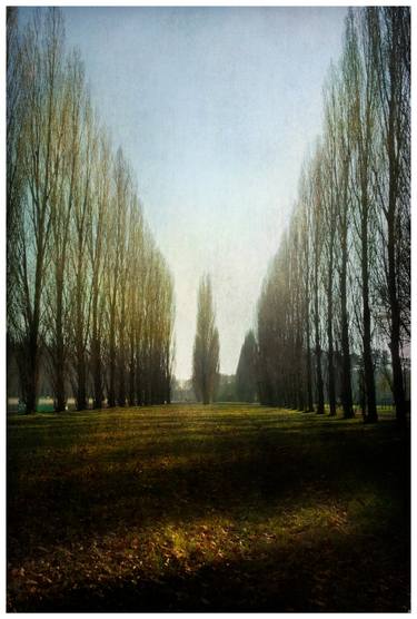 Original Expressionism Landscape Photography by Hélène Vallas Vincent