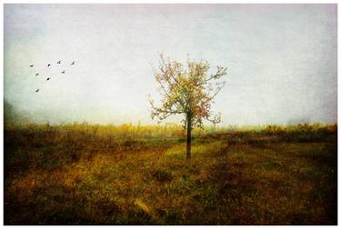 Original Landscape Photography by Hélène Vallas Vincent