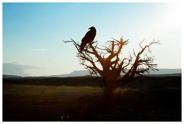 Print of Fine Art Landscape Photography by Hélène Vallas Vincent