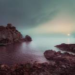 Collection 530 Arlington Final