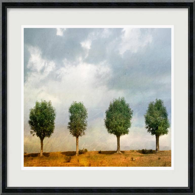 Original Figurative Landscape Photography by Hélène Vallas Vincent