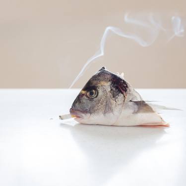 Print of Fish Photography by Hélène Vallas Vincent