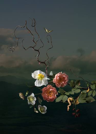 Original Conceptual Nature Collage by Julija Levkova