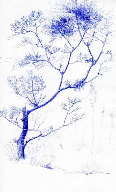 Print of Tree Drawings by william dwiggins