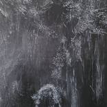 Tryon Park Cliff Face by william dwiggins