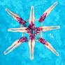 Collection Swimmers Kaleidoscope