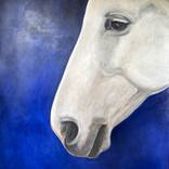 Sky Horse by Susan Wolfe Huppman