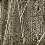 Walking in the Dark IV in black and white excerpt 1