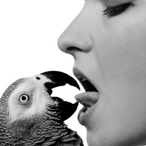 Collection Black & White