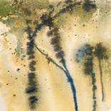 Rainy day trees by Julianne Felton