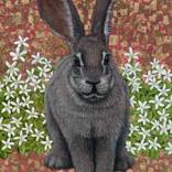 Riverine Rabbit by Marc Alexander
