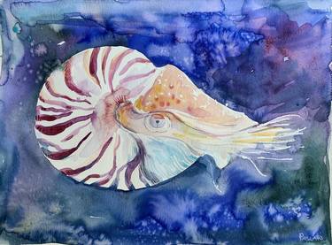 Original Fish Paintings by Olga Pascari