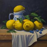 Lemons with Willow Jug by Stephen Graham