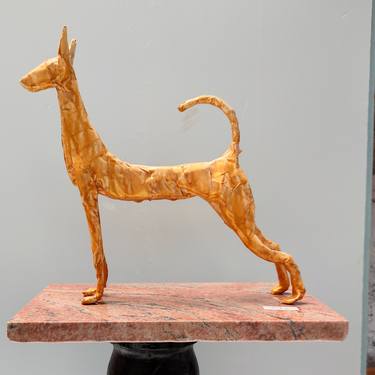 Wire Podenco thumb