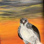 Second Coming The Falcon number 3 by Mania Row