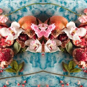 Collection Perfecting the Journey