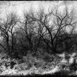 winter glass by Jeffrey  Hummel