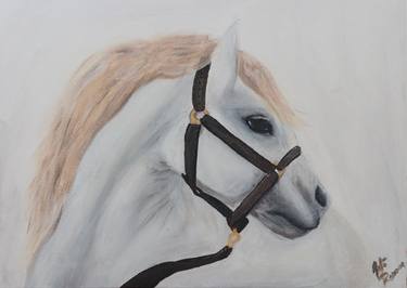 Print of Horse Paintings by Roxana Patricia Nita