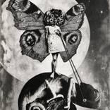 The Girl and The Chameleon by Jaco Putker