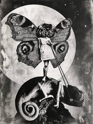 Original Surrealism Animal Printmaking by Jaco Putker