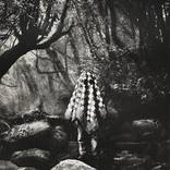 The Forest Ghost by Jaco Putker