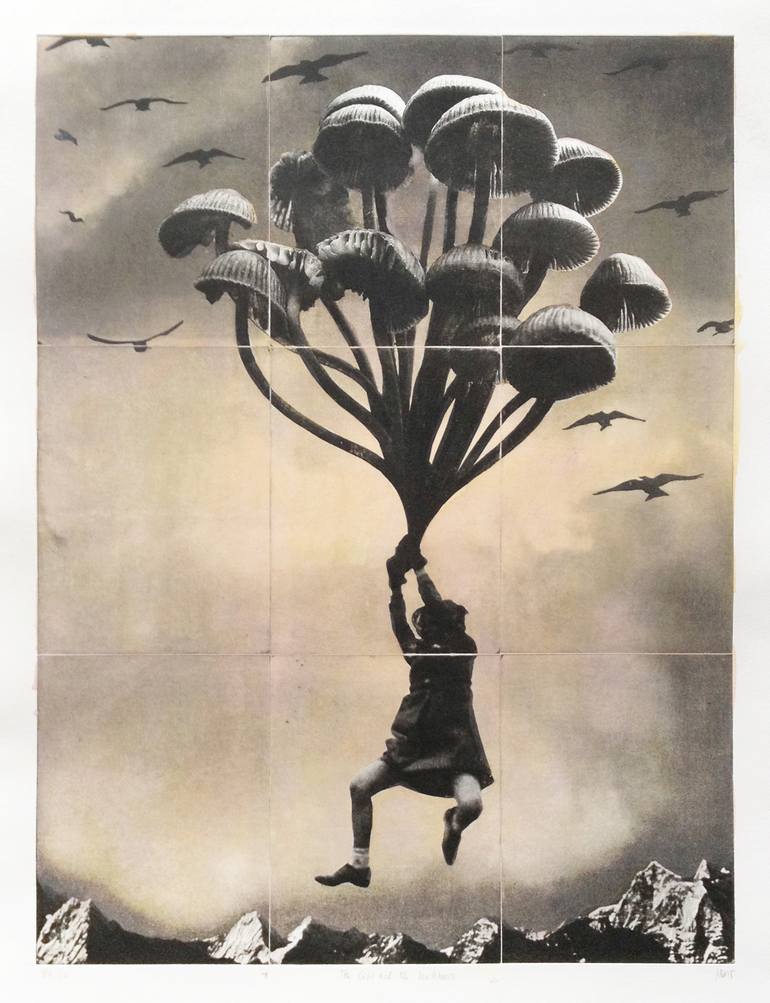 Original Surrealism Nature Printmaking by Jaco Putker