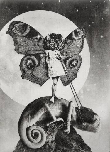 Original Surrealism Animal Printmaking by Jaco Putker