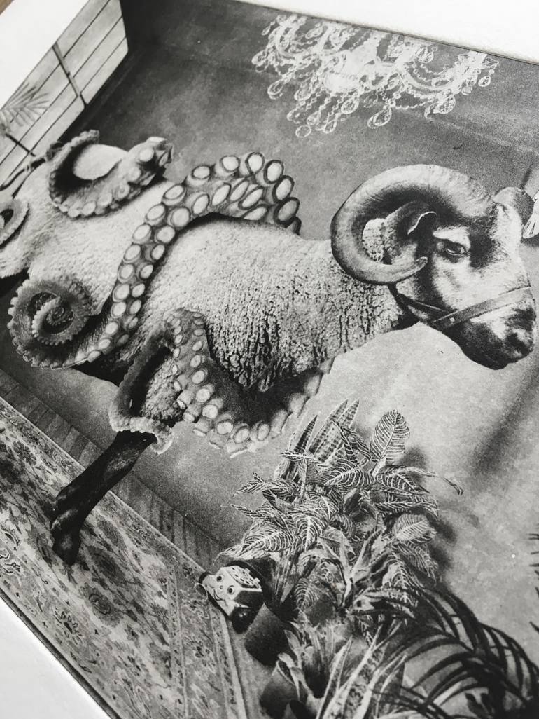 Original Animal Printmaking by Jaco Putker