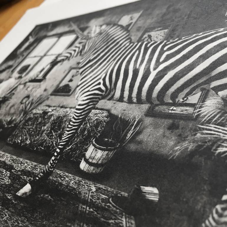 Original Animal Printmaking by Jaco Putker