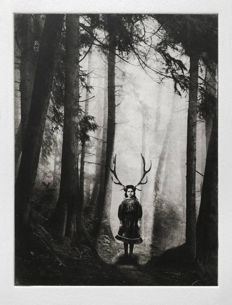 Original Figurative Nature Printmaking by Jaco Putker