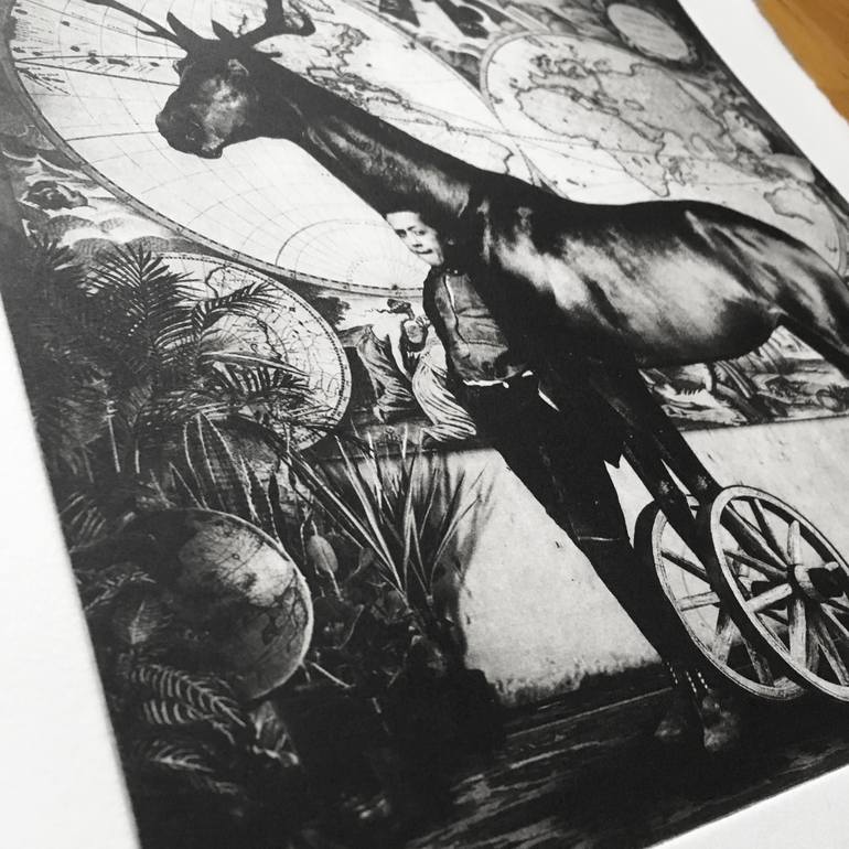 Original Animal Printmaking by Jaco Putker