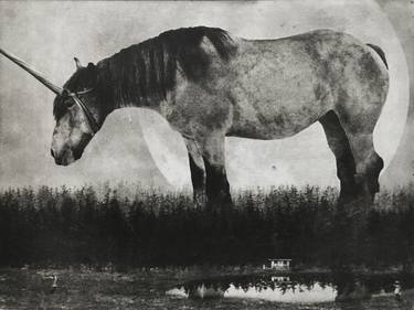 Original Animal Printmaking by Jaco Putker