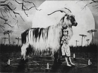 Original Figurative Animal Printmaking by Jaco Putker