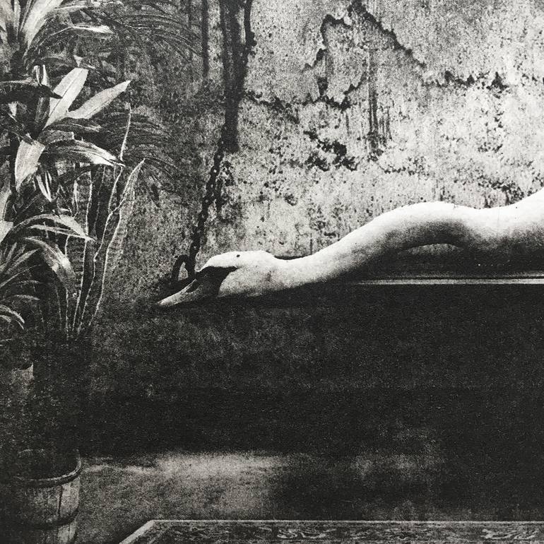 Original Figurative Animal Printmaking by Jaco Putker