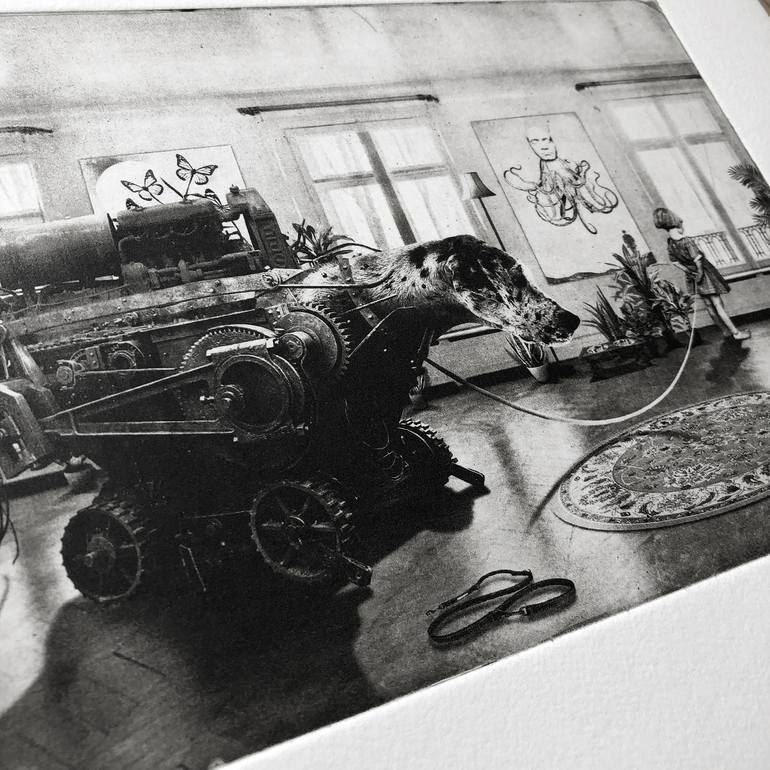 Original Figurative Animal Printmaking by Jaco Putker