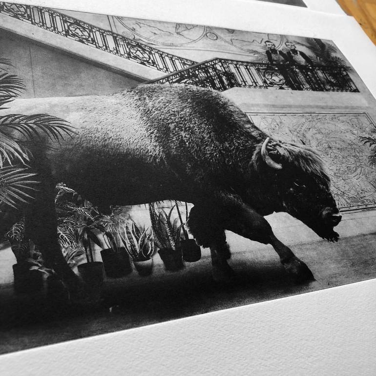 Original Figurative Animal Printmaking by Jaco Putker