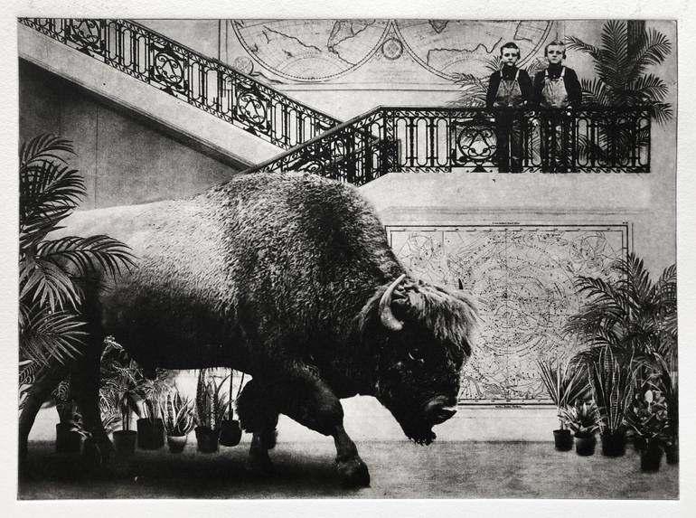 Original Figurative Animal Printmaking by Jaco Putker