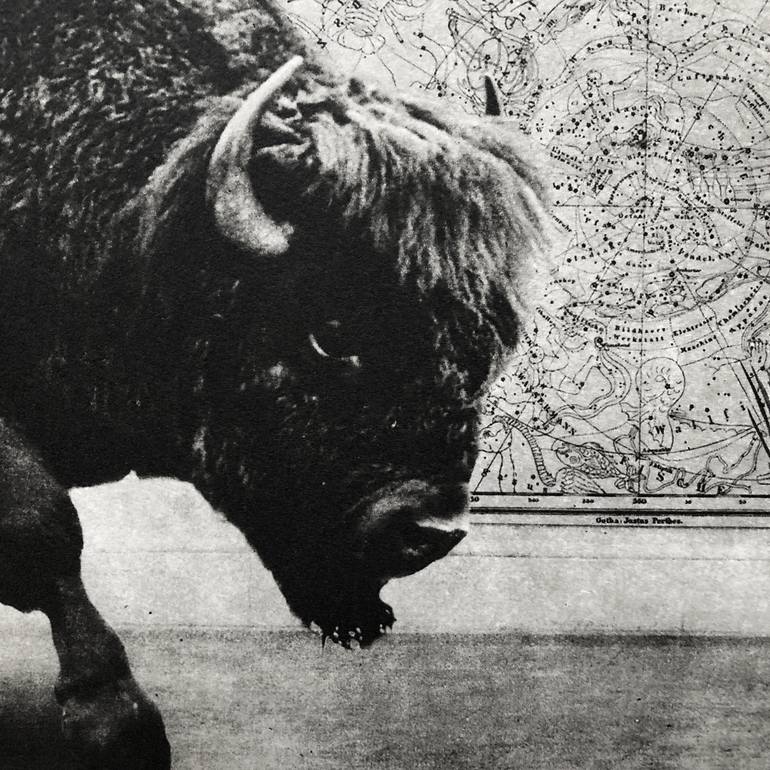 Original Figurative Animal Printmaking by Jaco Putker