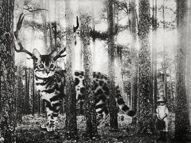 Original Surrealism Nature Printmaking by Jaco Putker
