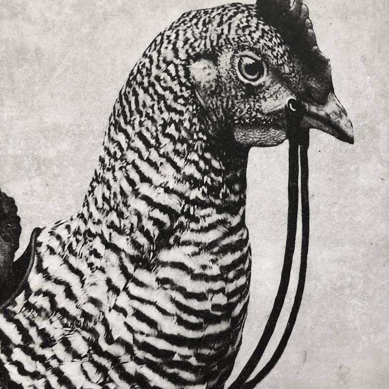 Original Surrealism Animal Printmaking by Jaco Putker