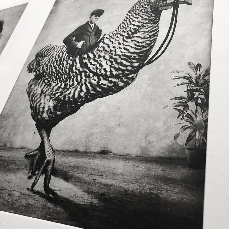 Original Surrealism Animal Printmaking by Jaco Putker