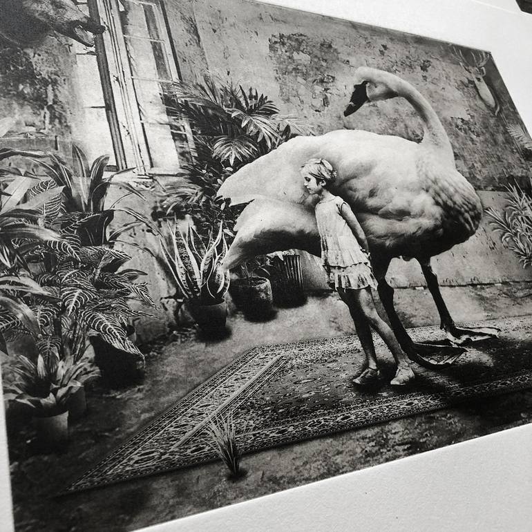 Original Animal Printmaking by Jaco Putker