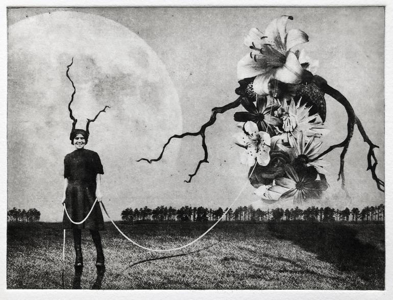 Original Figurative Floral Printmaking by Jaco Putker